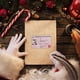 thumbnail image 2 of Claus Licencia De Conducir Voladora Tarjeta De Plástico Licencia De Trineo De Plástico Decoraciones Para Árboles De Navidad Yuarrent HA042012-04, 2 of 6