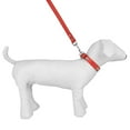 thumbnail image 4 of CUECUEPET Embellished Bone Charm Dog Collar and 44.5 inch Leash for Walking [Multiple Sizes], 4 of 5