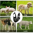 thumbnail image 4 of Écharpe de Veau avec Sangle Réglable, Écharpe de Pesage pour Bétail, Écharpe de Pesage Fixe pour Porcelet d'Agneau pour Outil de Pesage d'Animaux de Ferme, 4 of 5
