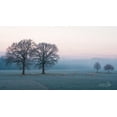 thumbnail image 2 of Podt, Martin 14x10 Gold Ornate Wood Framed with Double Matting Museum Art Print Titled - Sheep on a Cold Morning, 2 of 4