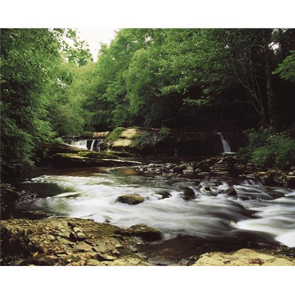 Clare River Clare Glens Co Tipperary Ireland - Water Flowing Through The Woods Poster Print by The Irish Image Collection, 34 x 26 - Large