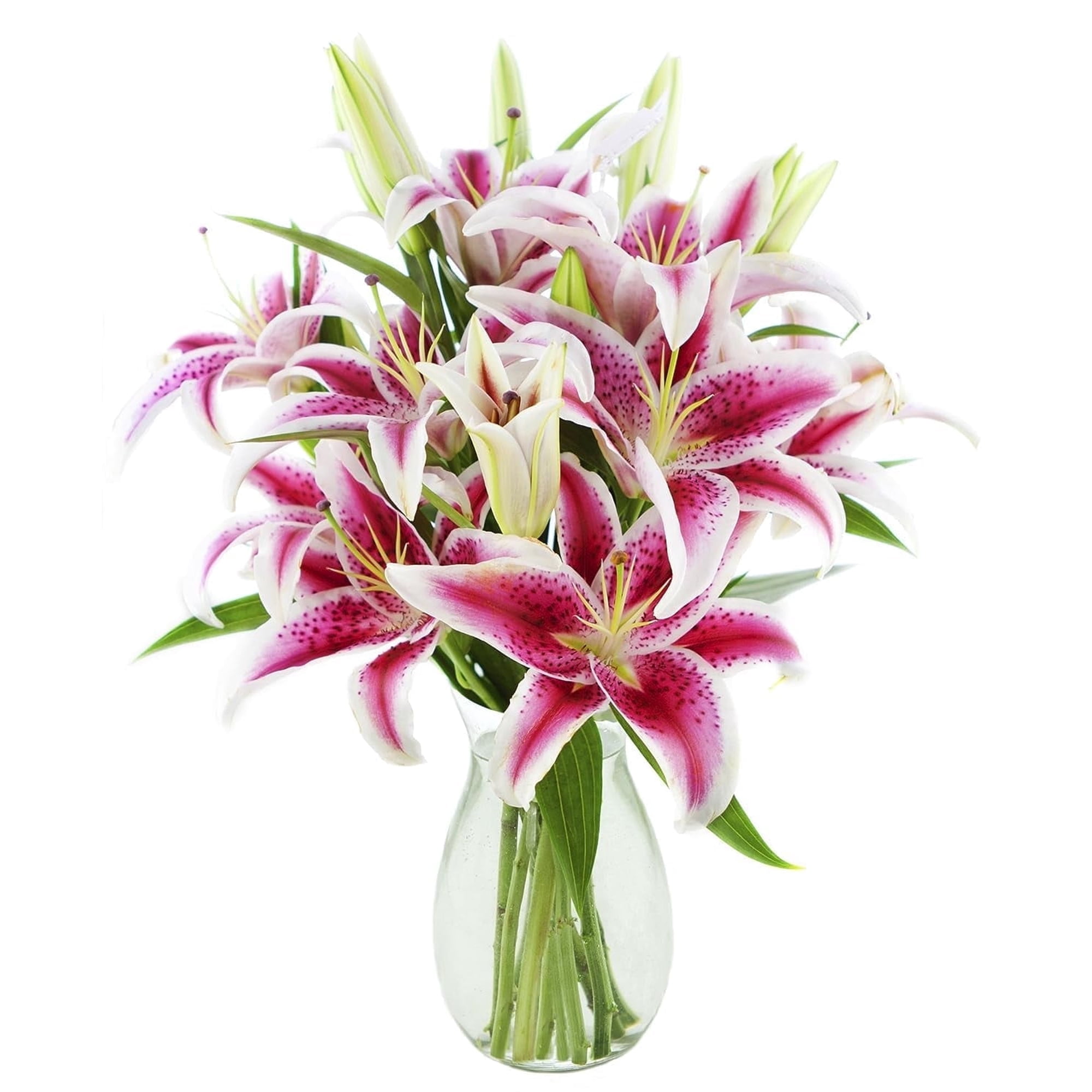 Kabloom 10 Stargazer Lilies with Greens in Vase