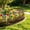 B, variant on Iron Garden Fence Barrier - Pet Proof Digging Fence for Dogs Cats Rabbits - Rustproof Metal Landscape Border with Ground Spikes - Outdoor Yard Lawn Decorative Enclosure Panels for Flower Beds