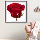thumbnail image 1 of Cuadros Decorativos 5D DIY Taladro completo Forma redonda Flores Plantas Diamante de imitación Dibujo de diamante para el hogar Ndcxsfigh Nuevos Originales, 1 of 5