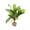 C, variant on Sunjoy Tech Aquarium Simulated Water Plants,Plastic Green Seaweed Landscaping Ornament for DIY Fish Tank Decor