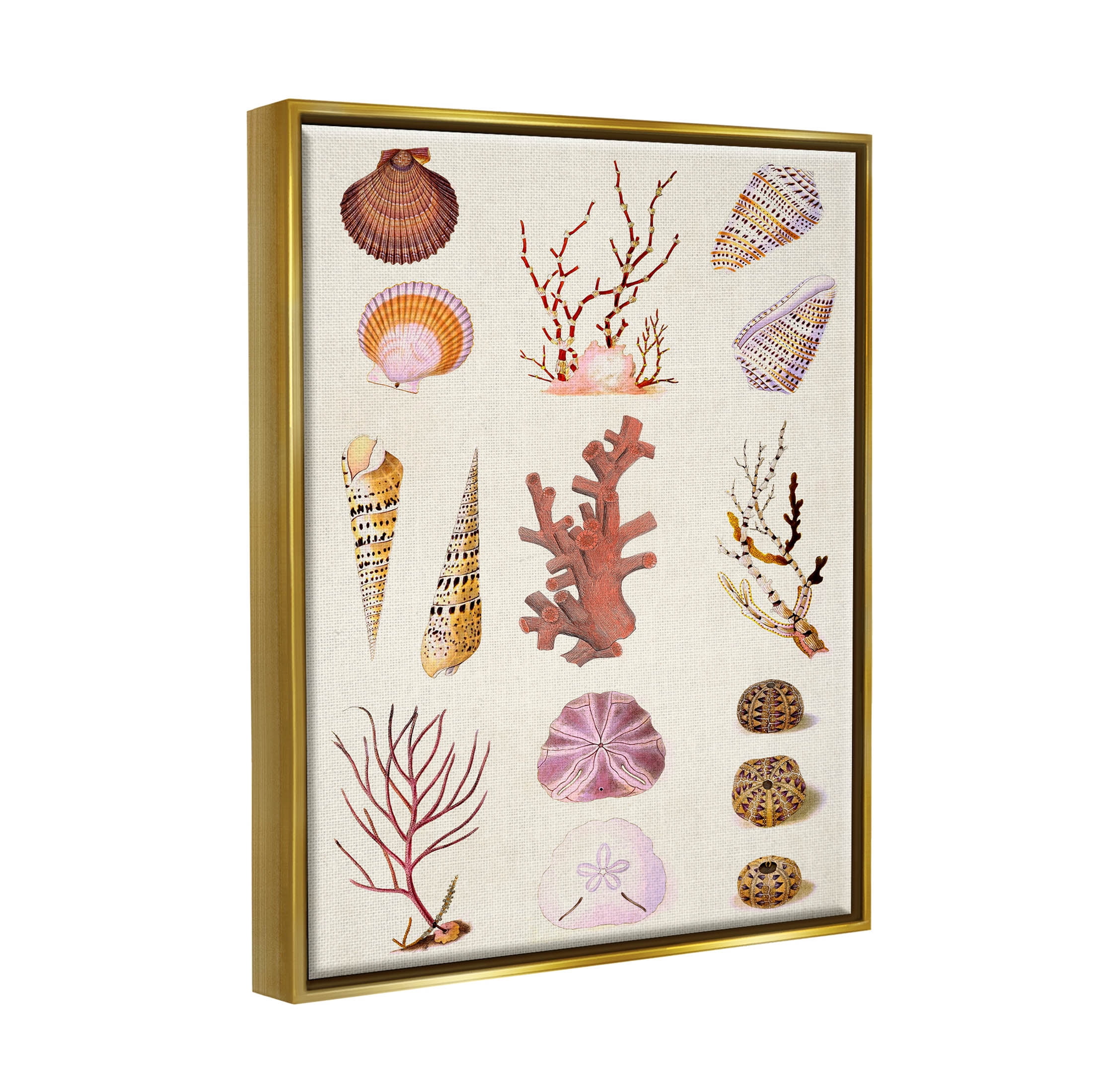 Stupell Industries Mixed Nautical Sea Life Corals Shells Graphic Art Metallic Gold Floating Framed Canvas Print Wall Art, Design by Vision Studio