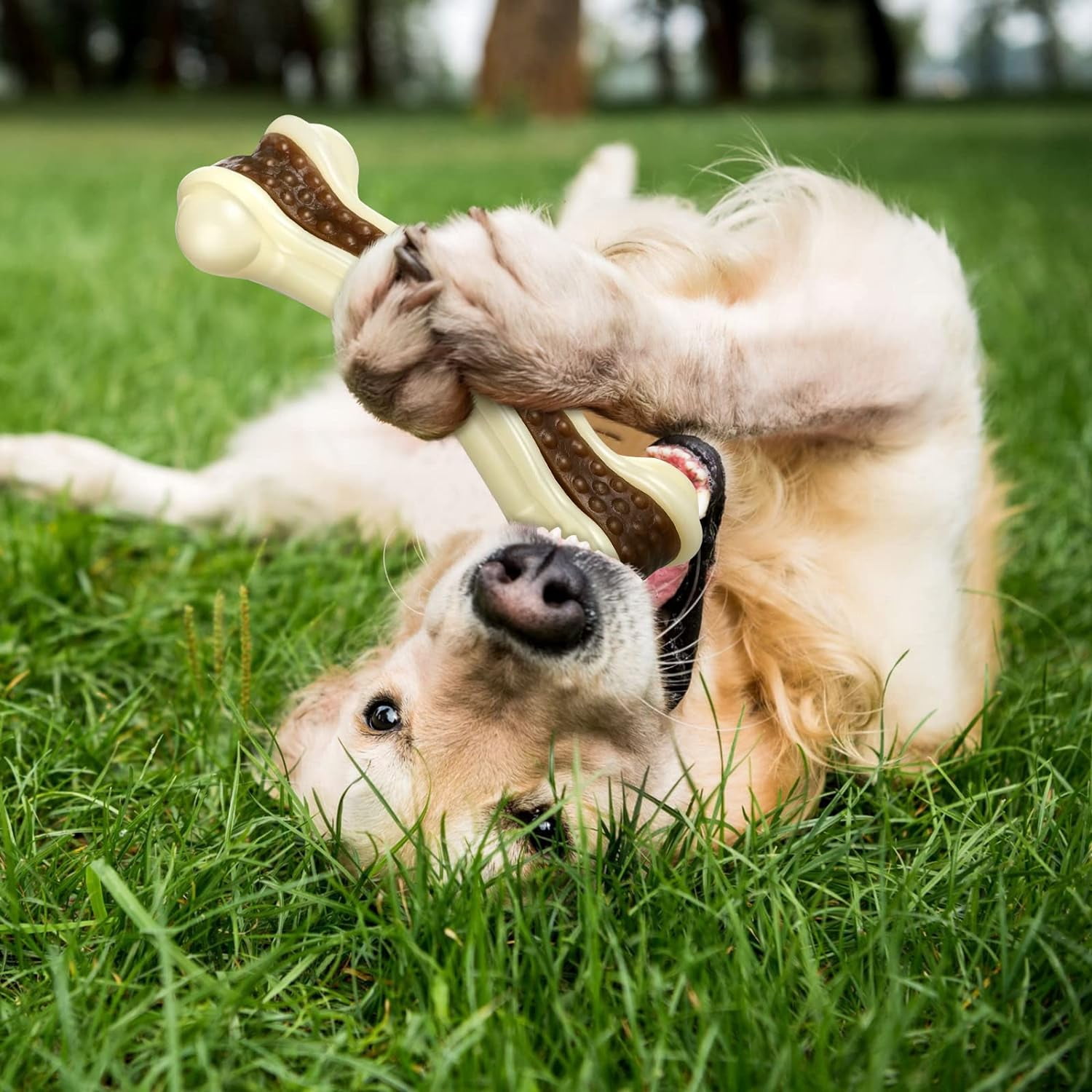 General Dog Toys for Aggressive Chewers Indestructible Nylon Dog Bones Beef Flavor Teething Chew Toys Bones for Large Puppies(XL)