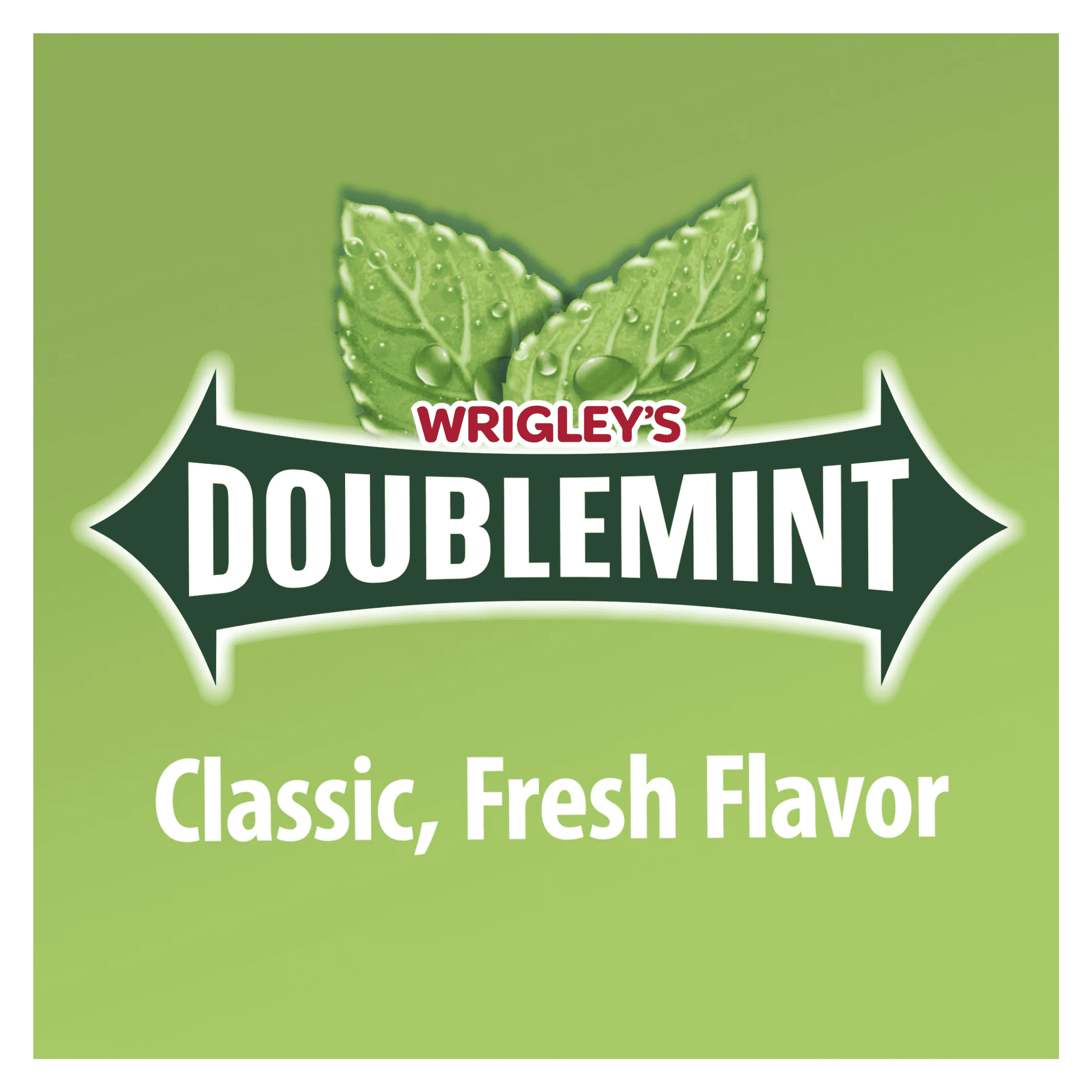 Wrigley Slim Pack Doublemint Chewing Gum 15Pcs Ea. Pack (20 Pack Double Up)