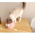 thumbnail image 5 of Tazón barato y asequible con arco Tazones de comida para gatos Tazón base para perros, estación de alimentación para mascotas Tazón base de calidad superior Tazón para mascotas para mini cachorro medi, 5 of 5