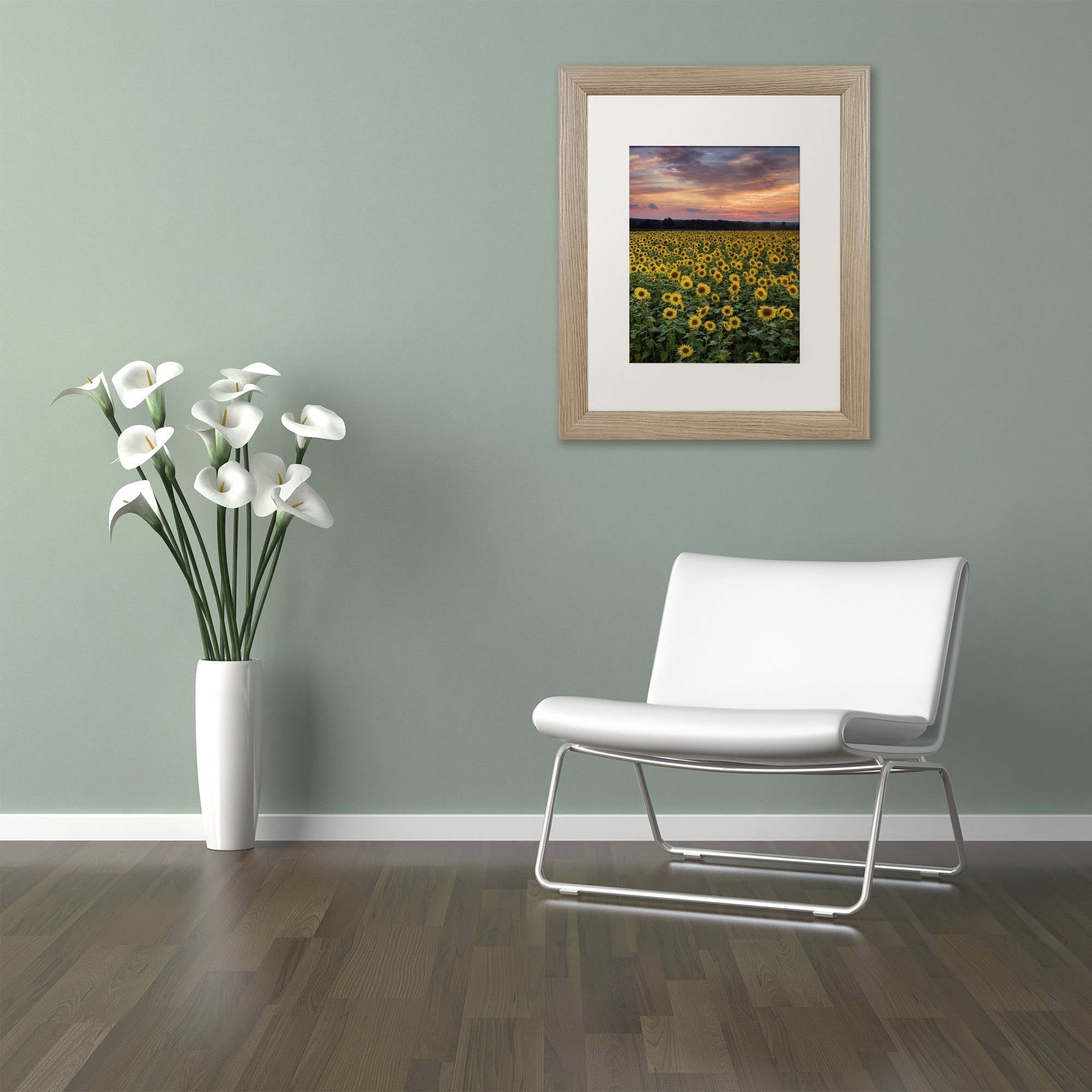 Trademark Fine Art "Sunflowers" Canvas Art by Michael Blanchette Photography White Matte, Birch Frame