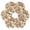 Peach Fruit Pattern, variant on 6 Pcs Drink Coasters with Holder 3.94in Woven Coasters for Drinks Floral Pattern with Roses Coaster Set for Protection Table