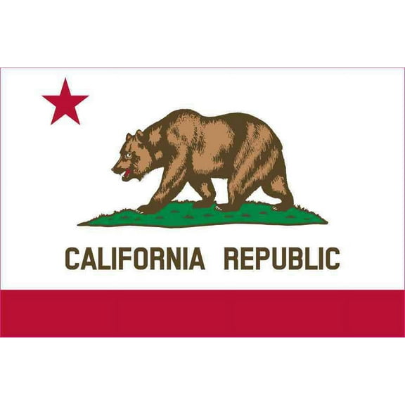 6in x 4in California State Flag Bumper magnet  Vinyl magnetic magnets