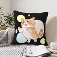 thumbnail image 2 of DouZhe Velvet Decorative Throw Pillow Covers Set of 2, Soft Square Cushion Cover with Invisible Zipper Happy Tabby Cat Printing, 18"x18", 2 of 7