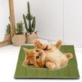 thumbnail image 2 of Alfombrilla Gruesa Para Perros Con Rejilla Cuadrada Almohadilla Para Gatos Para Perros Y Gatos ANGGREK Otros, 2 of 8