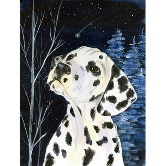 Starry Night Dalmatian Flag Canvas - House Size
