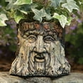 thumbnail image 2 of Bits and Pieces - Tree Face Planter - Polyresin Indoor/Outdoor Urn, 2 of 7