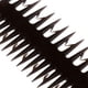 thumbnail image 4 of Cepillo para teñir Strade Fareast Limited 2 en 1 para salón color negro, 4 of 8