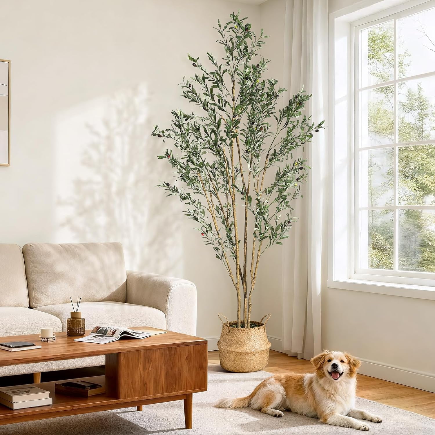 7FT Olive Trees Artificial Indoor, Faux Silk Plant with Natural Wood Trunk and Lifelike Fruits, Black Imitation Ceramic Planter with Green Fake Moss for Modern Home Office Living Room Decor