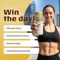 thumbnail image 4 of Focus Factor Energy Drink - 12 x 355ml Cans (Pineapple Paradise Flavor) - with Focus + Energy - Sugar Free, Low Calorie with Vitamin B6 & Vitamin B12, 4 of 6