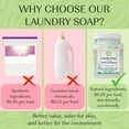 Laundry Soap Unscented
