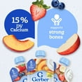 thumbnail image 5 of Gerber Fruit & Yogurt, Toddler Food Variety Pack, 3.5 oz Pouches (9 Pack), 5 of 16