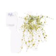 thumbnail image 1 of Valentines outside Lights Village Light Cord 2 Indoor Christmas Lights 50 Count C9 Christmas Lights 50ft Indoor Decorative String Lights Plug in LED Bead String Lights Room Christmas Beads Colored, 1 of 4