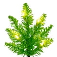 thumbnail image 2 of Vickerman 3' Lime Fir Artificial Christmas Tree, Lime  Dura-lit LED Lights, 2 of 3