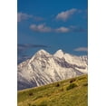 thumbnail image 2 of Haney, Chuck 13x18 White Modern Wood Framed Museum Art Print Titled - Bison bulls grazing in balsamroot with dramatic Mission Mountains at the National Bison Range in Mo, 2 of 4