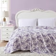 thumbnail image 2 of Manta Betsey Johnson de felpa ultrasuave doble (90 x 150 cm), 2 of 6