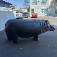 thumbnail image 6 of Hippo Life Size Statue, 6 of 8