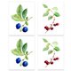 thumbnail image 1 of Adorno de arte de la pared Simple Style Fruit Themed picture Home Colgante Colgante Pinturas para colgar para el hogar Adorno de la sala de estar 4 piezas Jumpingount HA011833-00, 1 of 7