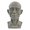 D, variant on Sylvtty Planar Head Model for Drawing Resin Skull Sculpture with Detailed Muscle Structure Art Study Tool for Sketching Anatomy Learning