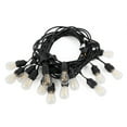 thumbnail image 1 of Brightech Ambience Pro Edison Black LED Waterproof Outdoor String Lights, 48 Ft., 1 of 12
