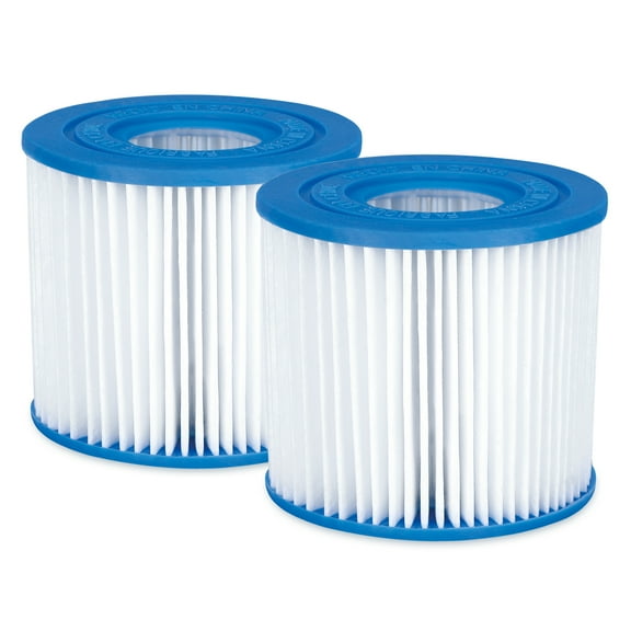 Bluescape Type D Pool Filter Cartridge 2-Pack, White, Adults