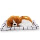 thumbnail image 3 of Perro de muñeca de peluche, muñeca de animal de simulación encantadora, juguete de peluche, juguetes de peluche, resultados impresionantes, 3 of 9
