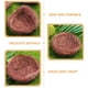 thumbnail image 3 of OULII 16Ud Nido De Pájaro Para Manualidades Y Natural En Color Marrón, 3 of 6