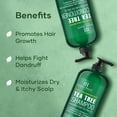 thumbnail image 4 of Botanic Hearth Tea Tree Shampoo and Conditioner Set infused with Vegan Collage, 16 fl oz each - Sulfate & Paraben Free - for Itchy and Dry Scalp - Men and Women, 4 of 10