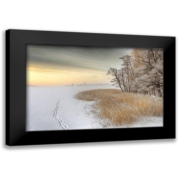 Savolainen, Keijo 24x17 Black Modern Framed Museum Art Print Titled - Misty winter morning