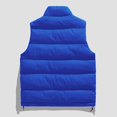 thumbnail image 4 of AnuYalue Big and Tall Vest Men Winter Warm Stand Collar Puffer Waistcoat Full Zipper Sleeveless Jacket Outdoor Ski Vests with Zip Pockets, 4 of 4