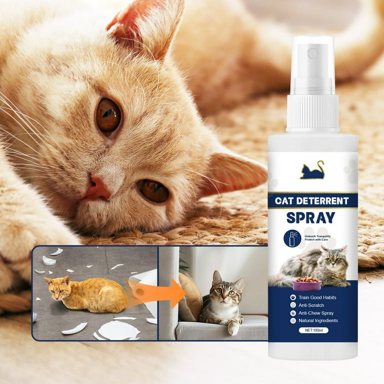 Ftwujt Anti Cat & Dog Urine Spray - 100 Ml - No More Marking Spray For Dogs & Cats - Non-Staining Potty Training Spray For Dogs & Cats - Effective Don'T Pee Here Spray For Dogs,Cat Repellent Spray