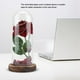 thumbnail image 4 of Luz LED de flor de rosa preservada - Regalo romántico del día de San Valentín, 4 of 10