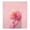 Tied With a Pink Ribbon, variant on IAUYY Magnetic decorative sticker - 23x26 Inch PVC Refrigerator Decorative Cover, Removable DIY Art for Kitchen Appliances Tulips in The Sky