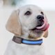 thumbnail image 1 of Collar y Correa con Luz para Mascotas | Collar Led Recargable Por Usb y Energía Solar con Ajuste Ajustable E Impermeable | Múltiples Modos de Luz para Seguridad Nocturna y Paseos Al Aire Libre, 1 of 2