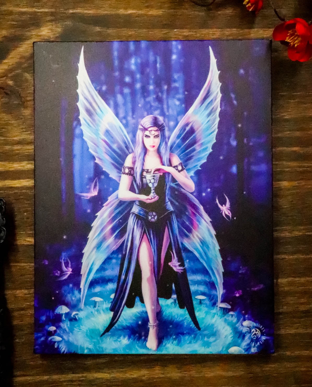 Fairy of the Changing Moons gothic fae art CANVAS PRINT 