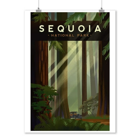 Ball Lithograph - Sequoia National Park, California - Redwood Forest - Geometric Lithograph - Lantern Press Artwork (9x12 Art Print, Wall Decor Travel Poster)