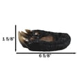 thumbnail image 2 of Rustic Western Long Claws Bear Paw Jewelry Trinket Keys Tray Dish Plate Figurine, 2 of 10
