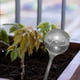 thumbnail image 5 of Riego Por Goteo en Forma Transparente para Plantas PVC para Interiores (gris), 5 of 6