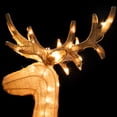 thumbnail image 6 of Northlight Lighted Standing Reindeer Outdoor Christmas Decoration - 60", 6 of 9