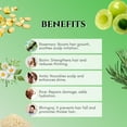 thumbnail image 5 of Handmade Rosemary Shampoo with Amla | Bhringraj | Rice | Aritha |Biotin| Cleanse | Rejuvenate | Volumize | Hydrate | Strengthen | Smooths brittle hairs, 5 of 6
