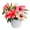White, Dark Pink, Pink, variant on BloomSelect 18" Hibiscus Live Outdoor Plant in 3QT. Decor Pot
